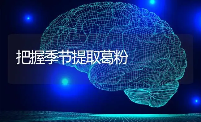 把握季节提取葛粉 | 养殖技术大全