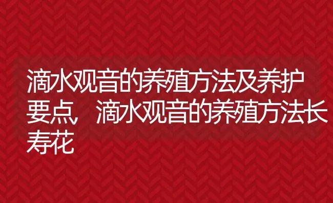 山芋发芽还能吃吗,都说土豆长芽不能吃，那么红薯长芽了能吃吗 | 养殖学堂