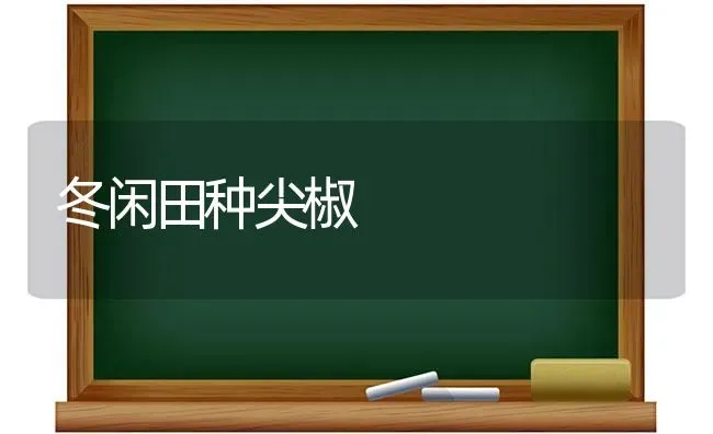 冬闲田种尖椒 | 养殖技术大全