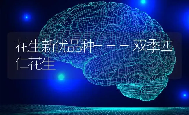 花生新优品种---双季四仁花生 | 养殖技术大全