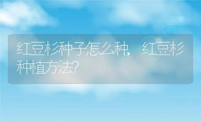 红豆杉种子怎么种,红豆杉种植方法？ | 养殖科普
