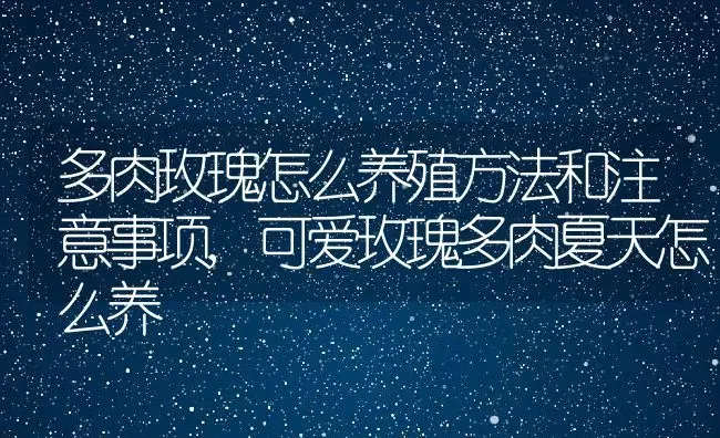 多肉玫瑰怎么养殖方法和注意事项,可爱玫瑰多肉夏天怎么养 | 养殖学堂