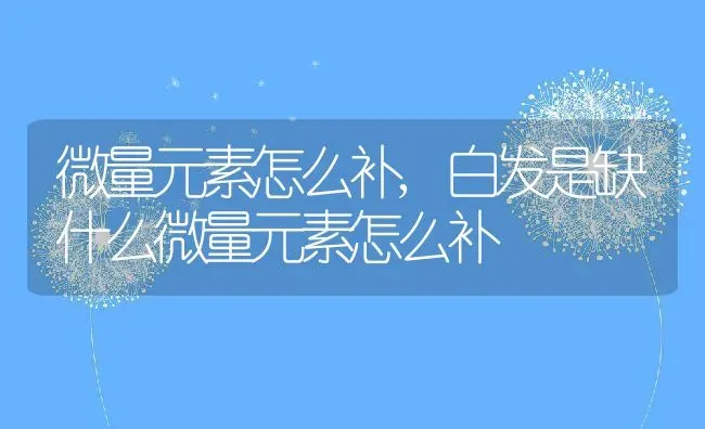 微量元素怎么补,白发是缺什么微量元素怎么补 | 养殖资料