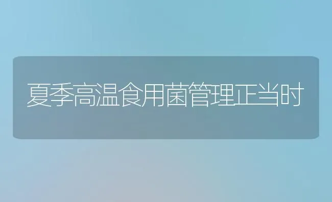 夏季高温食用菌管理正当时 | 养殖技术大全