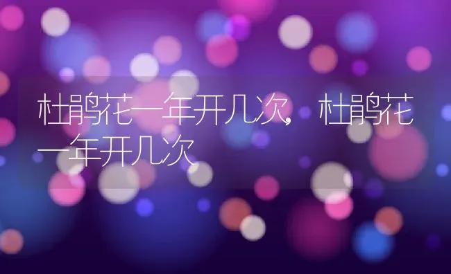 红掌怎么水培,水培红掌水里要倒掉什么呀？ | 养殖科普