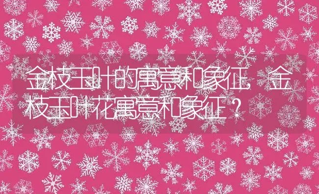 金枝玉叶的寓意和象征,金枝玉叶花寓意和象征？ | 养殖科普