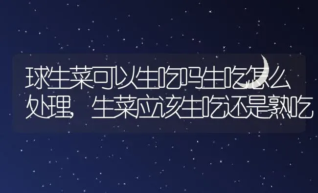 球生菜可以生吃吗生吃怎么处理,生菜应该生吃还是熟吃 | 养殖科普