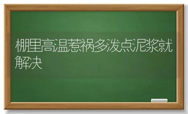 棚里高温惹祸多泼点泥浆就解决 | 养殖技术大全