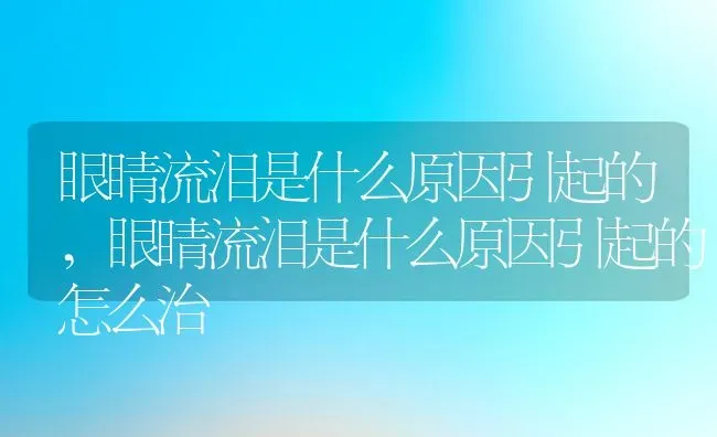 眼睛流泪是什么原因引起的,眼睛流泪是什么原因引起的怎么治 | 养殖科普