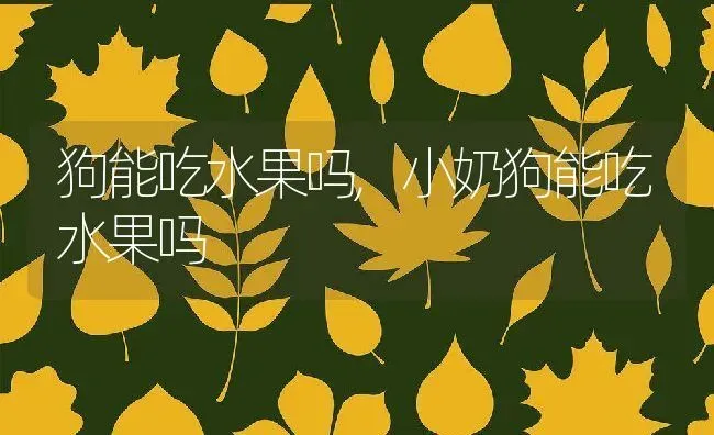 狗能吃水果吗,小奶狗能吃水果吗 | 养殖学堂