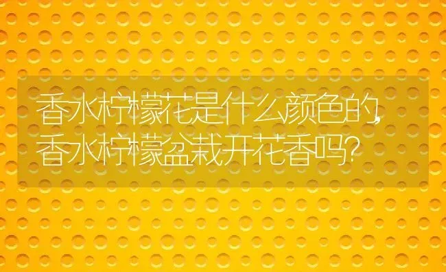 香水柠檬花是什么颜色的,香水柠檬盆栽开花香吗？ | 养殖科普