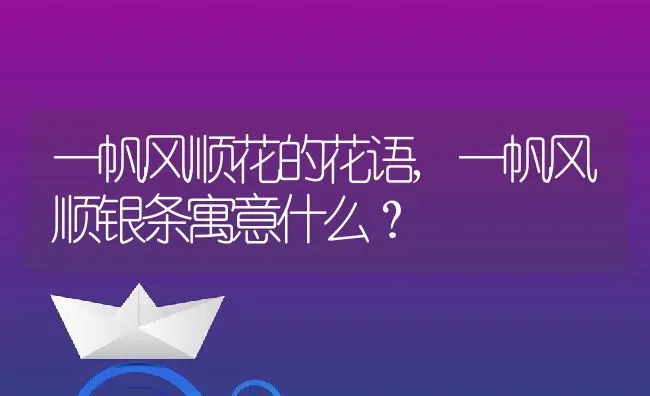 一帆风顺花的花语,一帆风顺银条寓意什么？ | 养殖科普