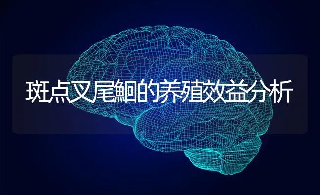 斑点叉尾鮰的养殖效益分析 | 养殖技术大全