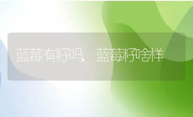 蓝莓有籽吗,蓝莓籽啥样 | 养殖学堂