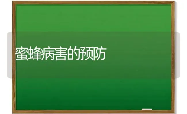 蜜蜂病害的预防 | 养殖技术大全