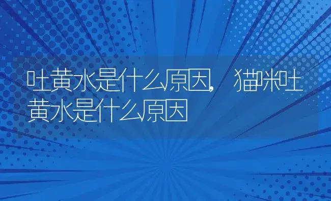 吐黄水是什么原因,猫咪吐黄水是什么原因 | 养殖资料