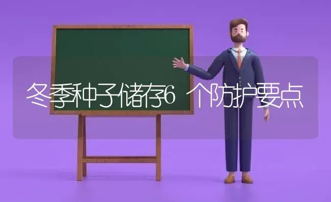 冬季种子储存6个防护要点 | 养殖知识
