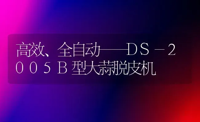 高效、全自动——DS-2005B型大蒜脱皮机 | 养殖知识