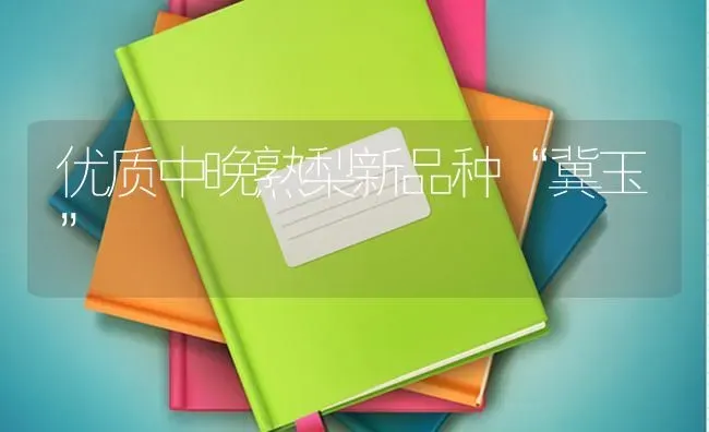 优质中晚熟梨新品种“冀玉” | 养殖知识