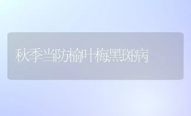 秋季当防榆叶梅黑斑病 | 养殖知识