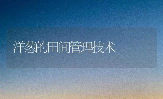 洋葱的田间管理技术 | 养殖技术大全