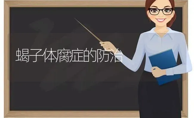 蝎子体腐症的防治 | 养殖技术大全