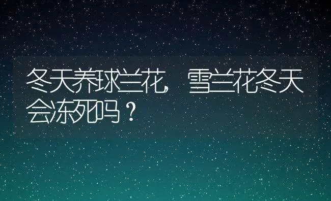 狂犬疫苗一共打几针,狂犬疫苗一共打几针多少钱 | 养殖科普