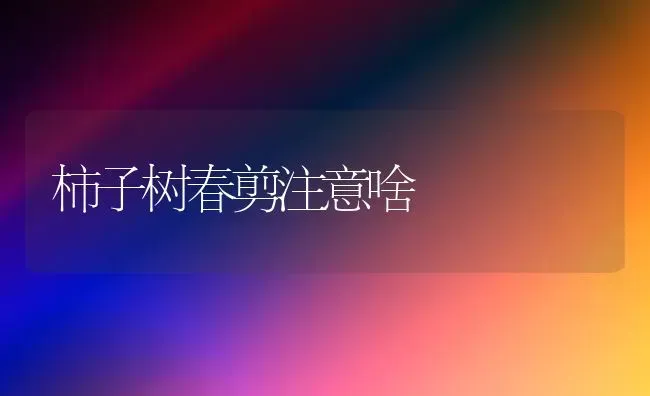 柿子树春剪注意啥 | 养殖技术大全