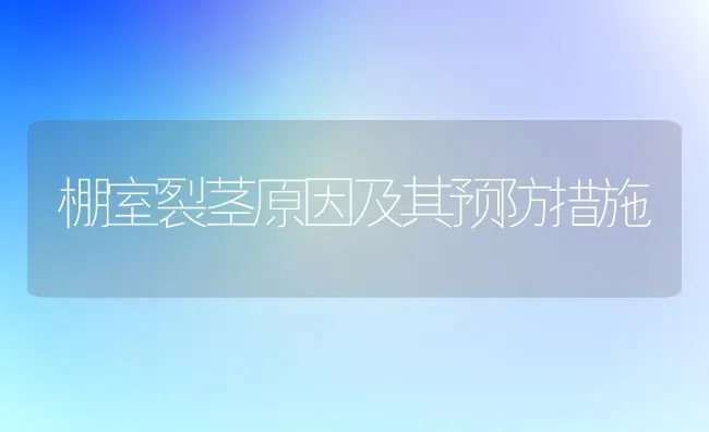 棚室裂茎原因及其预防措施 | 养殖技术大全