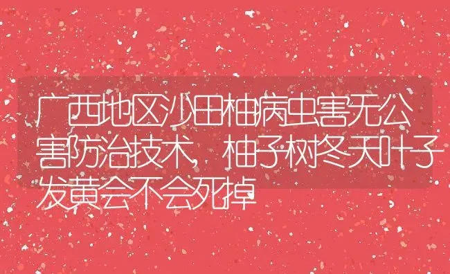 广西地区沙田柚病虫害无公害防治技术,柚子树冬天叶子发黄会不会死掉 | 养殖学堂