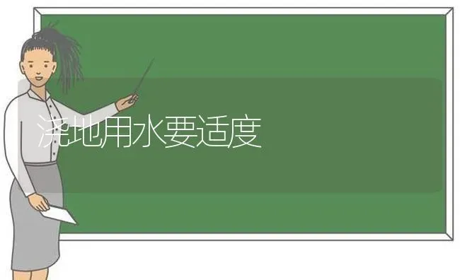 浇地用水要适度 | 养殖知识