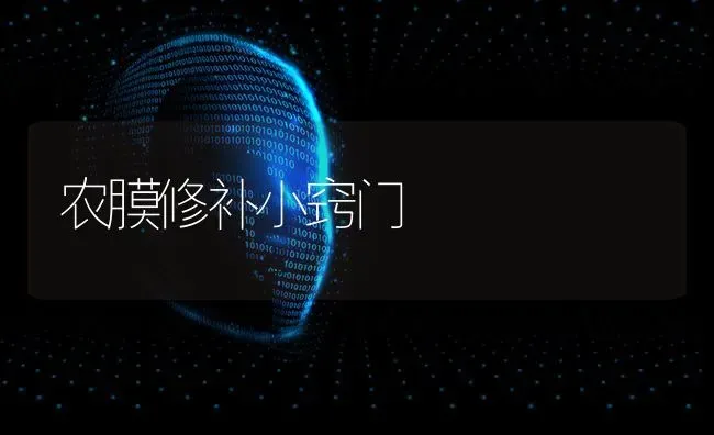 农膜修补小窍门 | 养殖技术大全