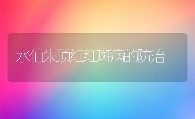 水仙朱顶红红斑病的防治 | 养殖知识