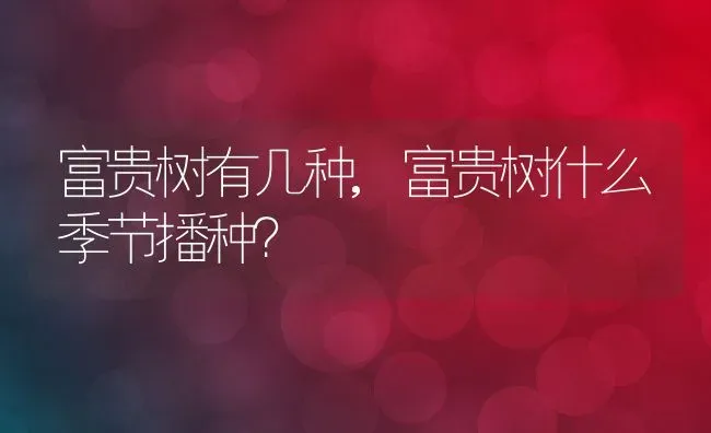 富贵树有几种,富贵树什么季节播种？ | 养殖科普