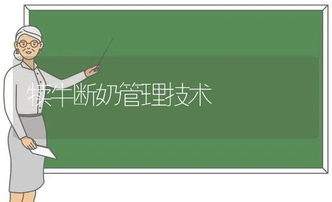 犊牛断奶管理技术 | 养殖技术大全