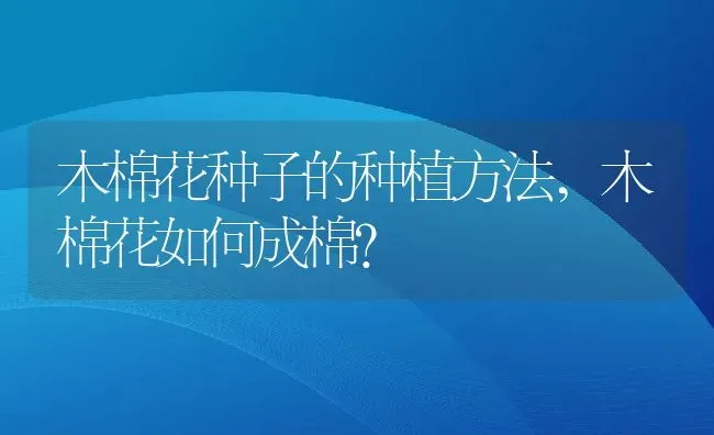 木棉花种子的种植方法,木棉花如何成棉？ | 养殖科普