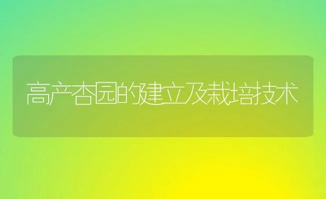 高产杏园的建立及栽培技术 | 养殖技术大全