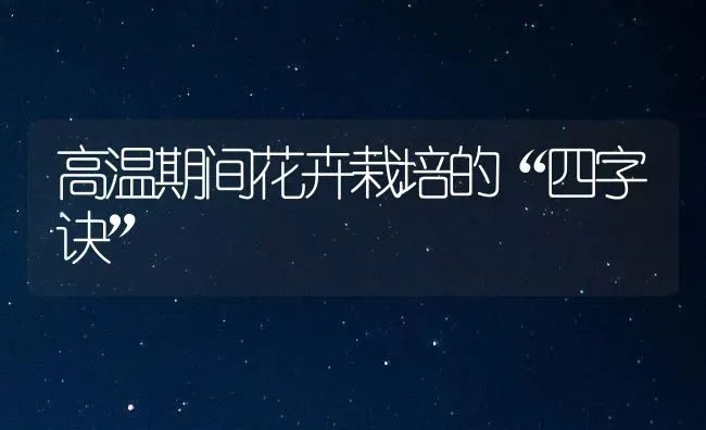 高温期间花卉栽培的“四字诀” | 养殖知识