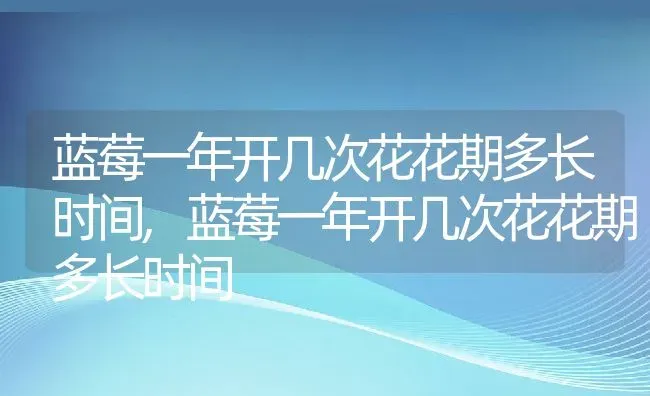 蓝莓一年开几次花花期多长时间,蓝莓一年开几次花花期多长时间 | 养殖科普