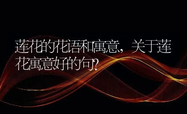 莲花的花语和寓意,关于莲花寓意好的句？ | 养殖科普