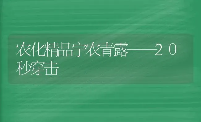 农化精品宁农青露——20秒穿击 | 养殖知识