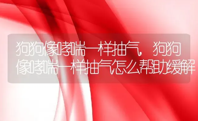 狗狗像哮喘一样抽气,狗狗像哮喘一样抽气怎么帮助缓解 | 养殖科普