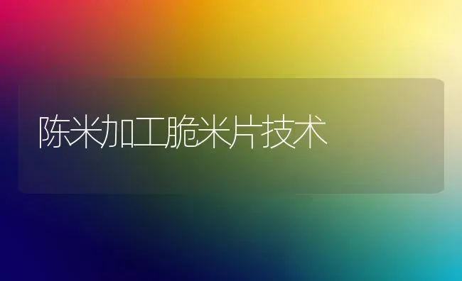 陈米加工脆米片技术 | 养殖技术大全
