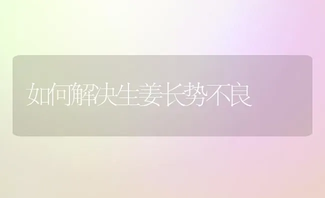 如何解决生姜长势不良 | 养殖技术大全