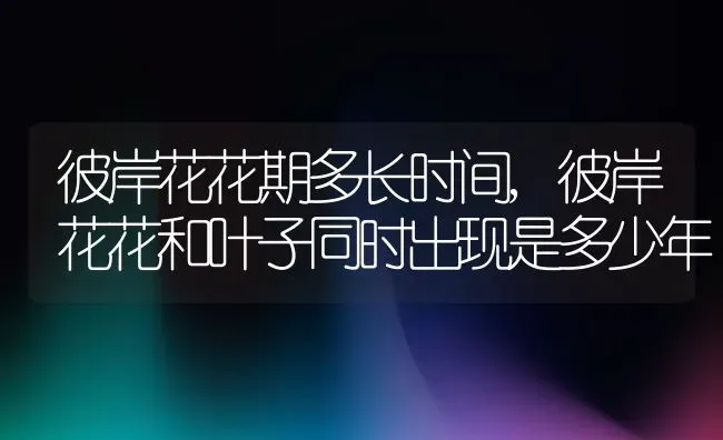 彼岸花花期多长时间,彼岸花花和叶子同时出现是多少年 | 养殖学堂
