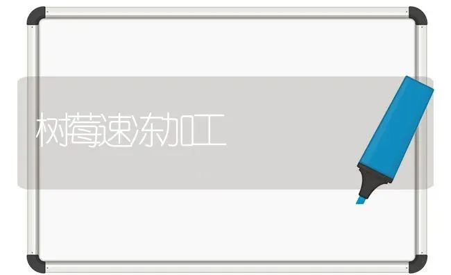 树莓速冻加工 | 养殖技术大全