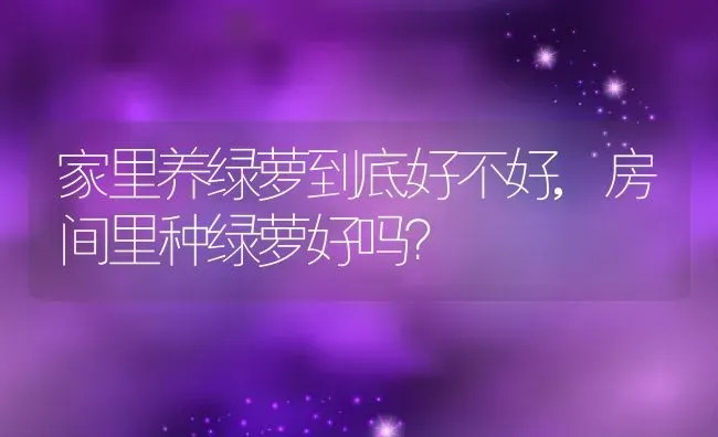 家里养绿萝到底好不好,房间里种绿萝好吗？ | 养殖学堂