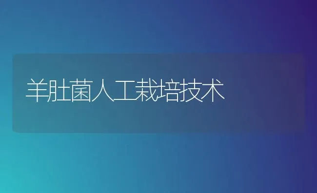 高温天气滴灌不能按天浇 | 养殖技术大全