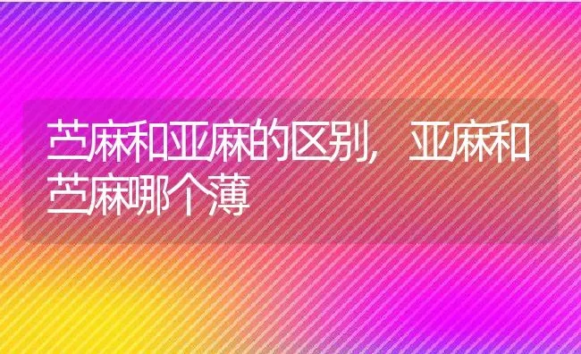 苎麻和亚麻的区别,亚麻和苎麻哪个薄 | 养殖学堂