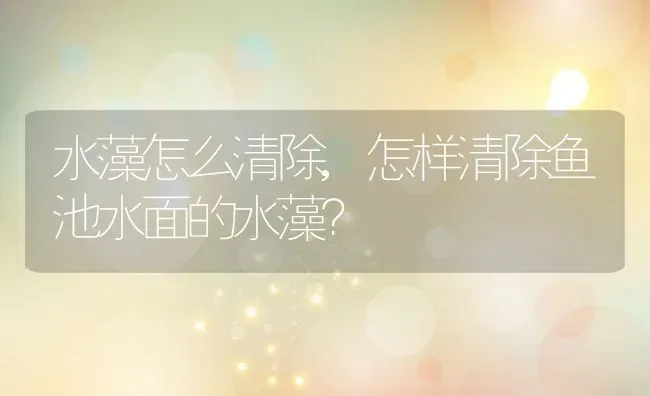 水藻怎么清除,怎样清除鱼池水面的水藻？ | 养殖科普